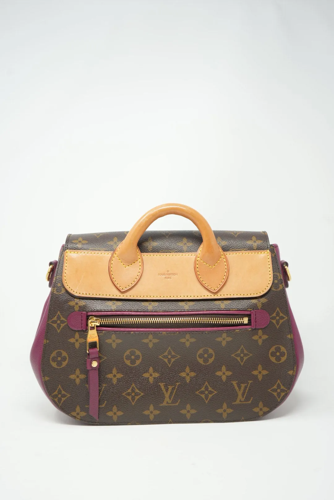 LOUIS VUITTON Monogram Eden PM