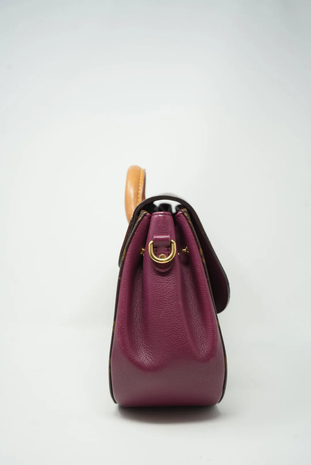 LOUIS VUITTON Monogram Eden PM