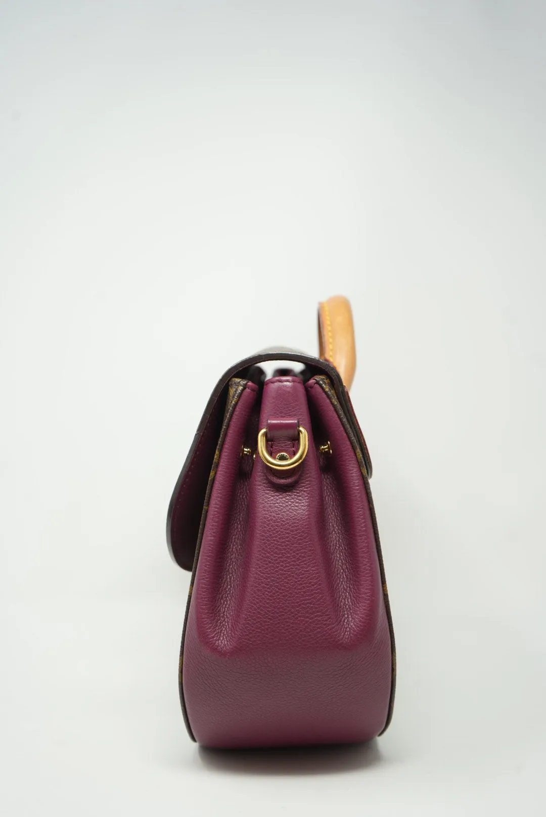 LOUIS VUITTON Monogram Eden PM